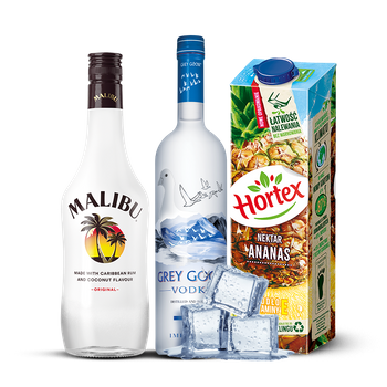 DRINK  GOOSE WINTER BALL