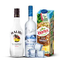 DRINK  GOOSE WINTER BALL 