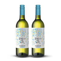 2 x WINO BRILLO DEL DIA SAUVIGNON BLANC 0,75L B/W