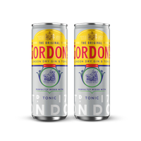 2 x DRINK GORDONS & TONIC 6,4% 0,25L