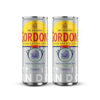 2 x DRINK GORDONS & TONIC 6,4% 0,25L